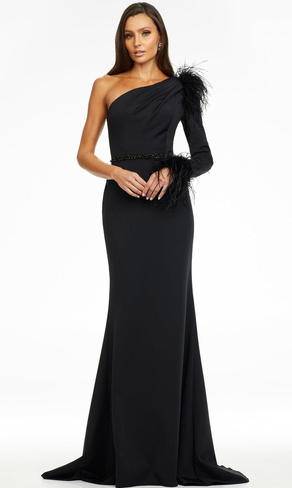 Image of Ashley Lauren - 11131 Feather Detail Long Sleeve Gown