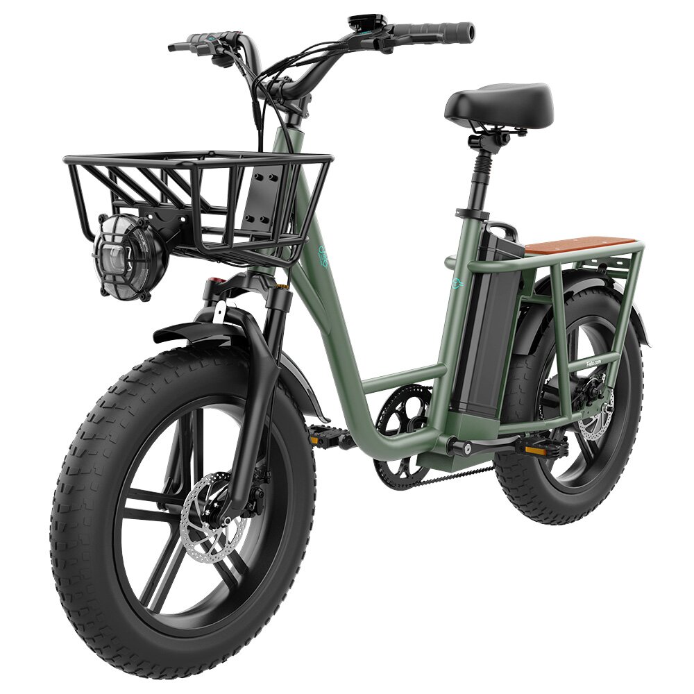 Image of [CA Direct] FIIDO T1 48V 20AH 750W 20*40in Electric Bicycle 150 KM Mileage 150 KG Payload Mechanical Disc Brake Electri
