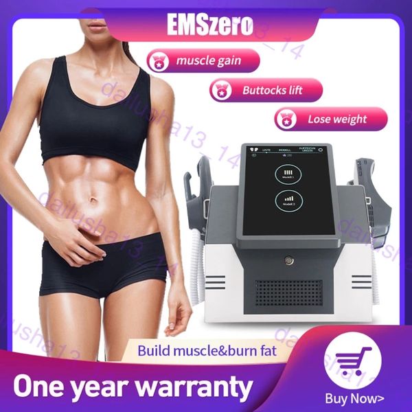 Image of ENH 852524638 other body sculpting & slimming new in 13 tesla dls-emslim muscle 2 handle slimming pelvic body sculpting machine portable nova neo rf emsze