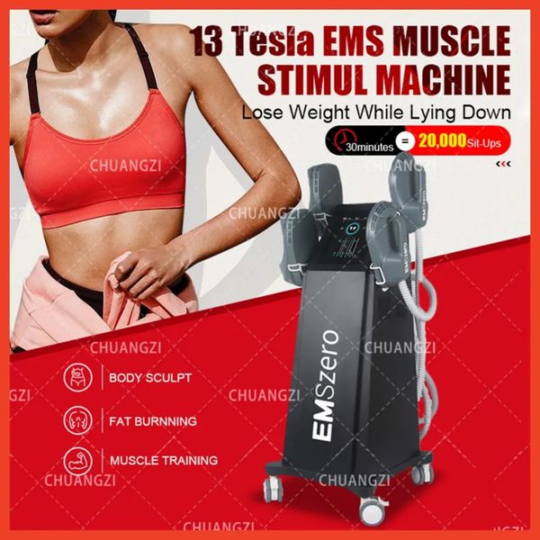 Image of ENH 853471674 other body sculpting & slimming dls-emslim 2023 the new neo 5000w 13 tesla hi-emt machine with 4 pcs neo handles with pelvic stimulation pad