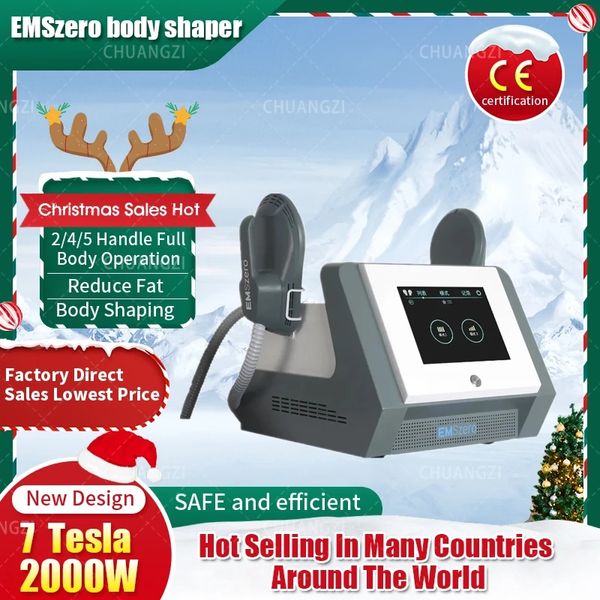 Image of ENH 856717186 dls-emslim neo portable electromagnetic body emszero slimming muscle stimulate fat removal body slimming build muscle machine other beauty e