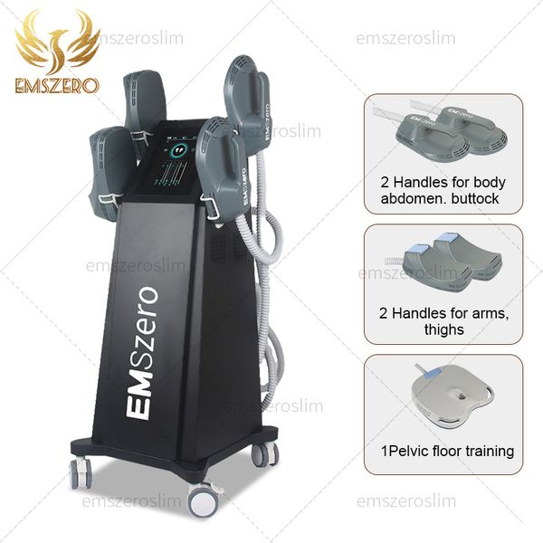 Image of ENH 871926036 dls-emslim body sculpt machine 14 tesla handle stimulation muscle contraction emszero hi-emt technology medspa machine