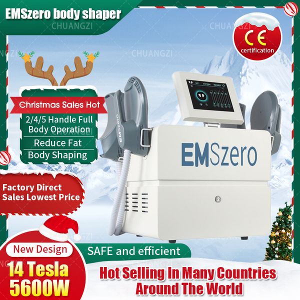 Image of ENH 874372287 dls emslim neo fitness machine 14 tesla 6000w hi-emt body sculpt fat removel emszero with 4 handles build muscle rf device
