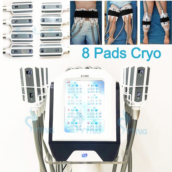 Image of ENM 776458212 8 cryo plates pads body shaping cryoskin fat ing weight loss therapy cool pads handles cellulite reduction