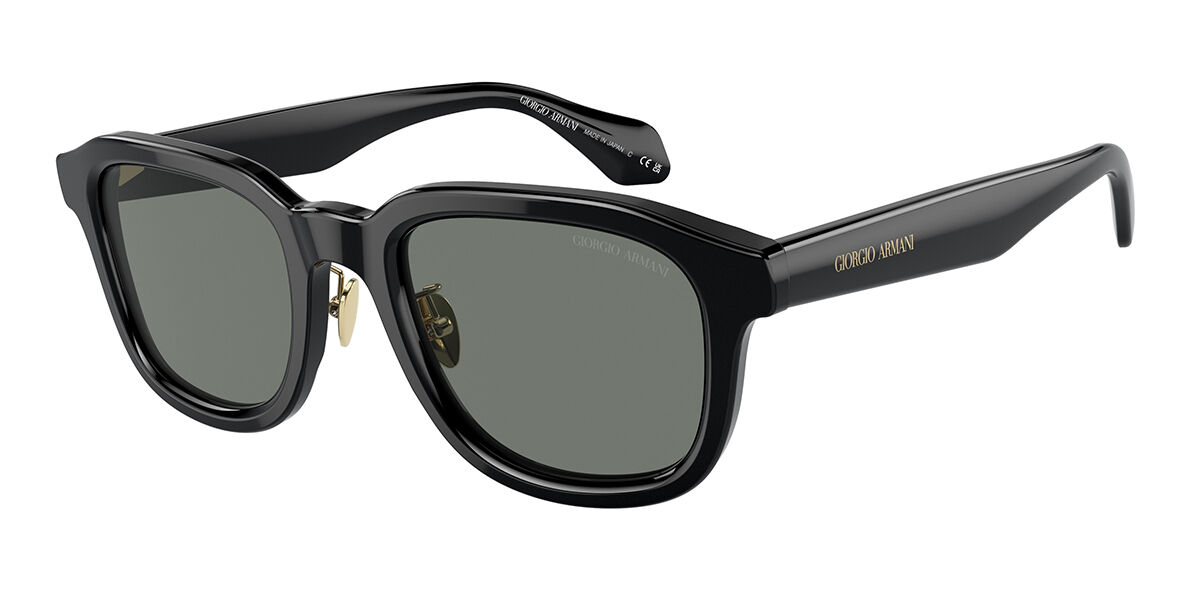 Image of Giorgio Armani AR8206 6060/1 51 Lunettes De Soleil Homme FR