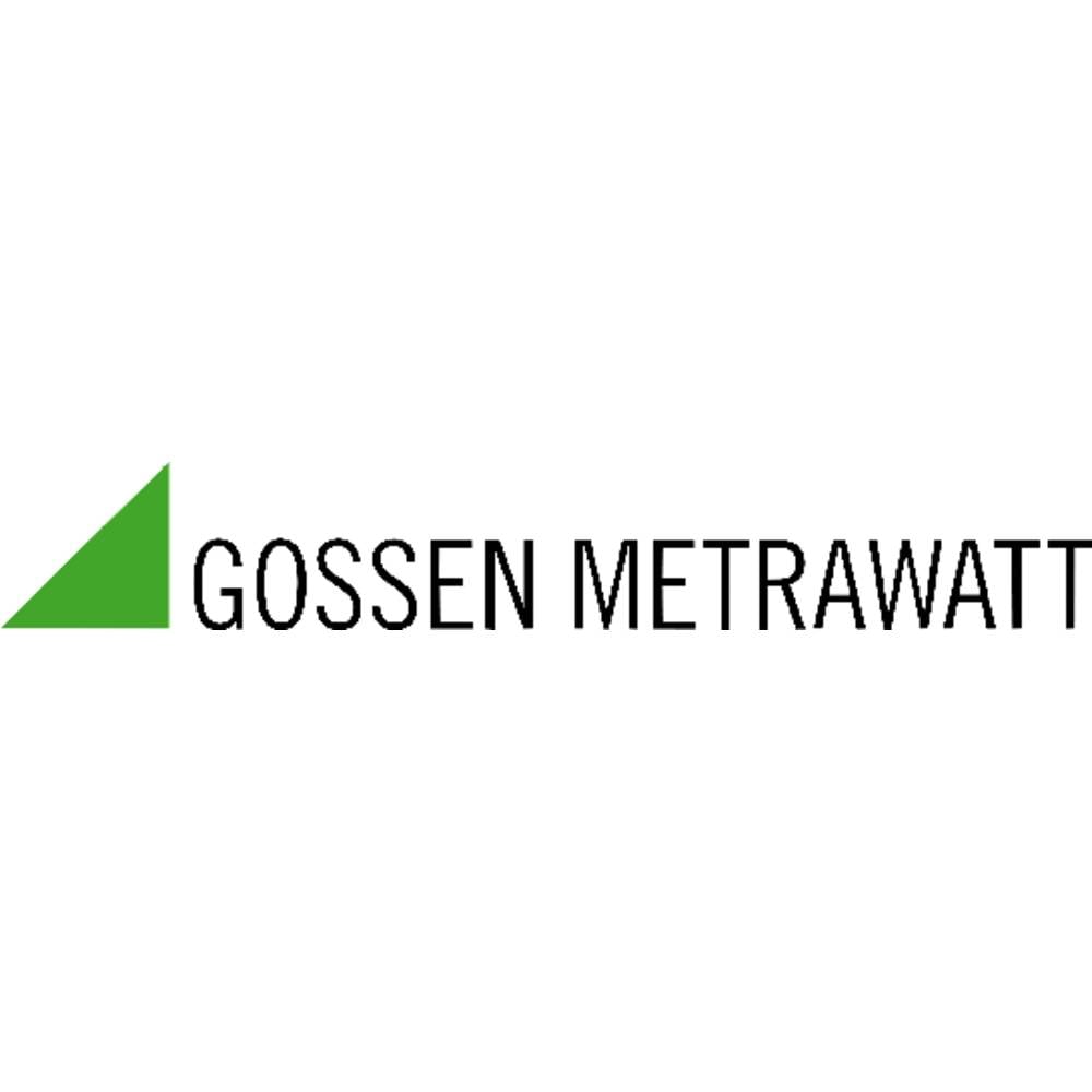 Image of Gossen Metrawatt S102V IZYTRONIQ BUSINESS Advanced Software 1 pc(s)