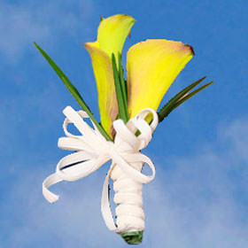 Image of ID 516472002 60 Beautiful Wedding Corsages