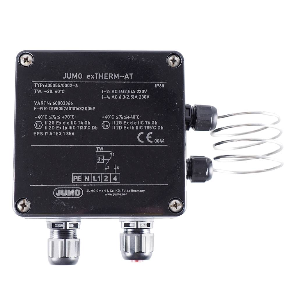 Image of Jumo 60003366 Temperature sensor