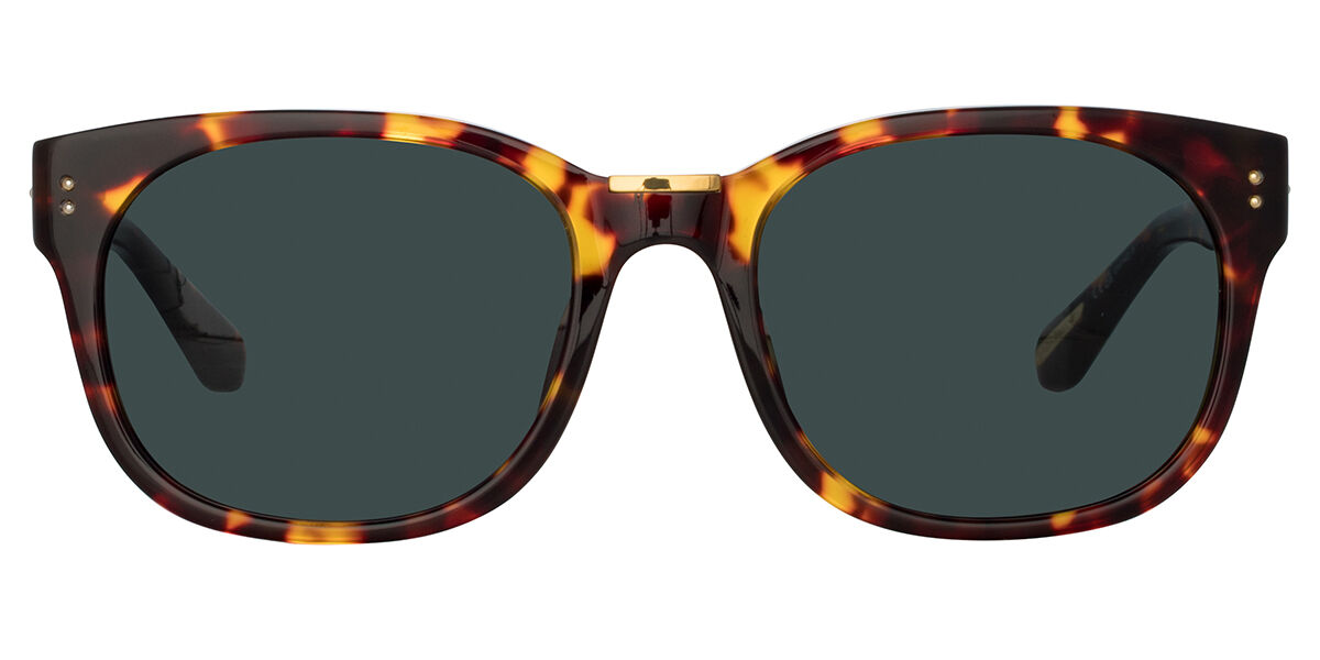 Image of Linda Farrow CEDRIC LFL1275 C5 Óculos de Sol Masculino Tortoiseshell BRLPT