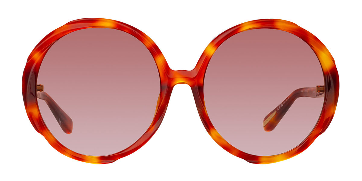 Image of Linda Farrow OTAVIA LFL1356 C3 Óculos de Sol Feminino Tortoiseshell BRLPT