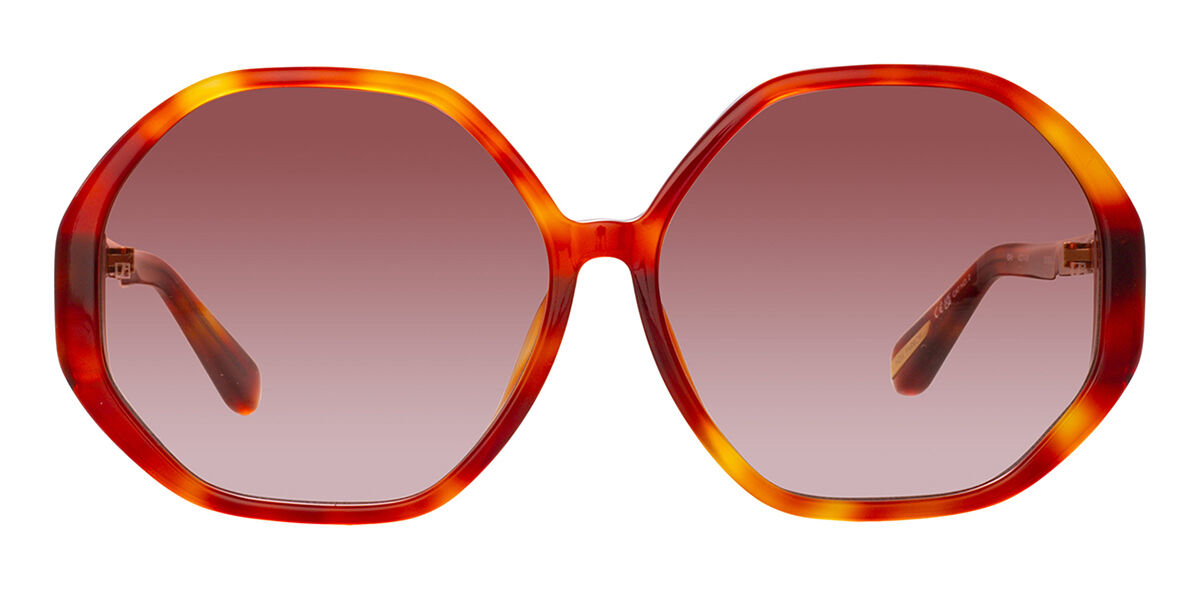 Image of Linda Farrow PALOMA LFL1415 C3 Óculos de Sol Tortoiseshell Feminino BRLPT