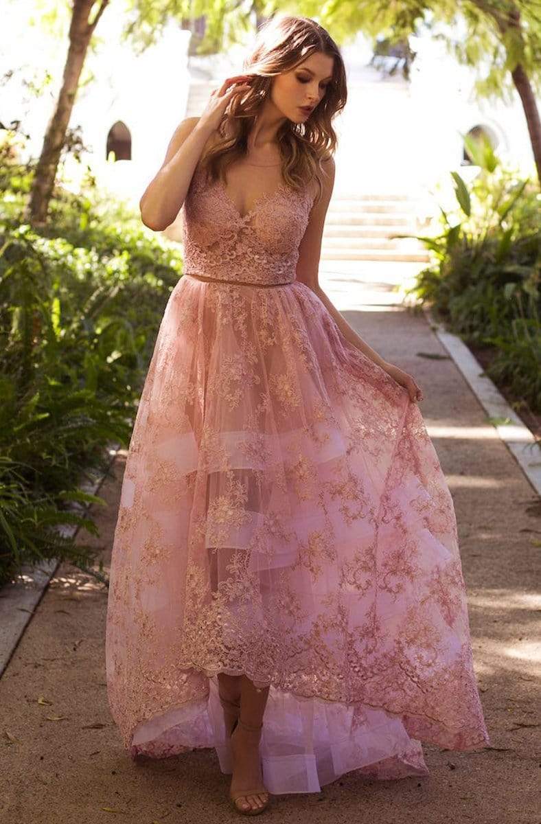 Image of Nicole Bakti - 6774 Floral Lace Illusion Back High Low A-Line Gown