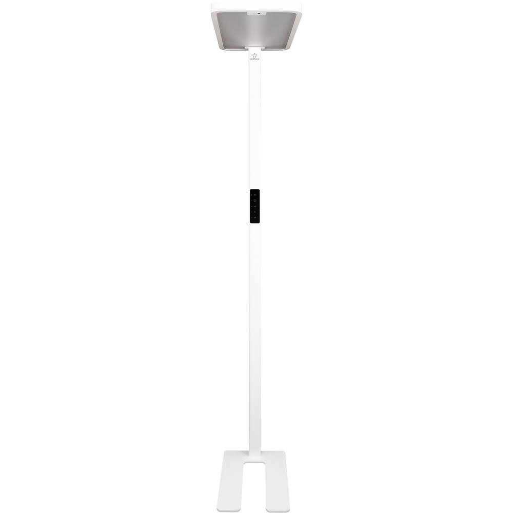 Image of Renkforce RF-6410432 LED floor standing light 1 pc(s)